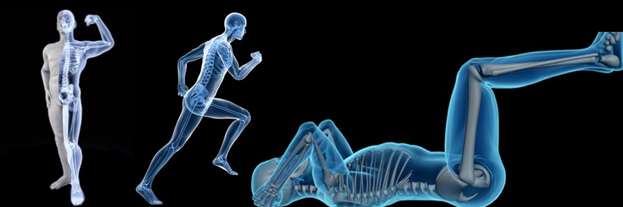 کاهش چربی داخل استخوان: اثر فعالیت ورزشی و دیابت