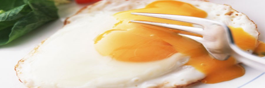تخم مرغ خطر بروز دیابت را کاهش می دهد