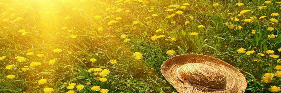 ویتامین D و نور خورشید: ضروری برای سلامتی