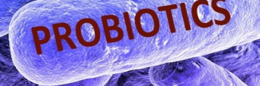 اثرات مفید پروبیوتیک ها و فیبر در مبتلایان به اختلالات روده ای