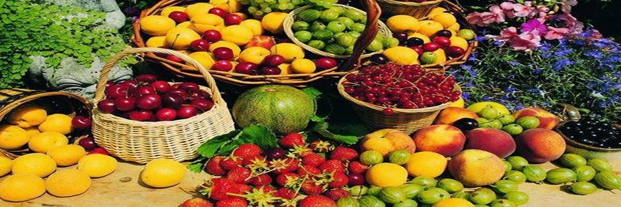 حفظ سلامت ریه با مصرف میوه و سبزی بیشتر