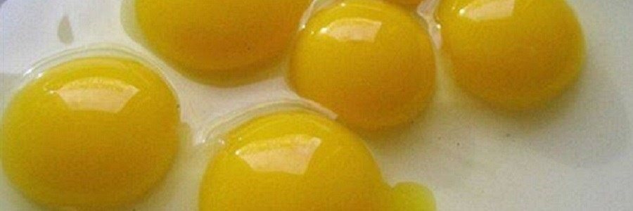 مصرف تخم مرغ کامل و بهبود لیپید پروفایل
