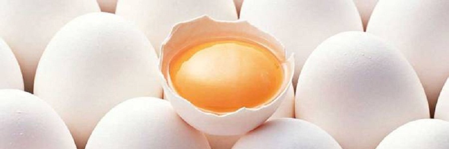 آیا مصرف تخم مرغ با بیماری کرونری ارتباط دارد؟