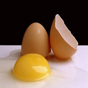 تخم مرغ و بیماری قلبی و عروقی