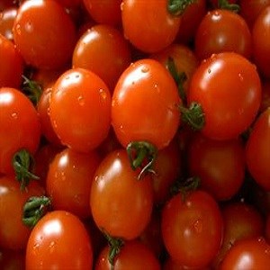 مصرف گوجه فرنگی و سویا خطر سرطان پستان را کاهش می دهد.