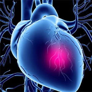 هورمون های جنسی دلیلی برای ابتلا به بیماری قلبی