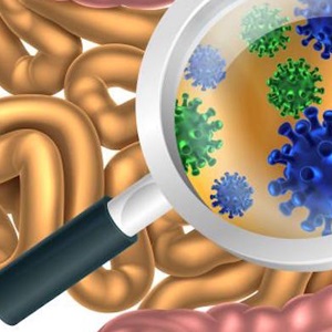 ارتباط باکتری‌های روده با اثربخشی درمان ملانوما