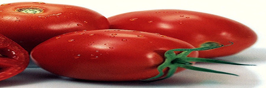 گوجه فرنگی و کاهش خطر ابتلا به سرطان پستان