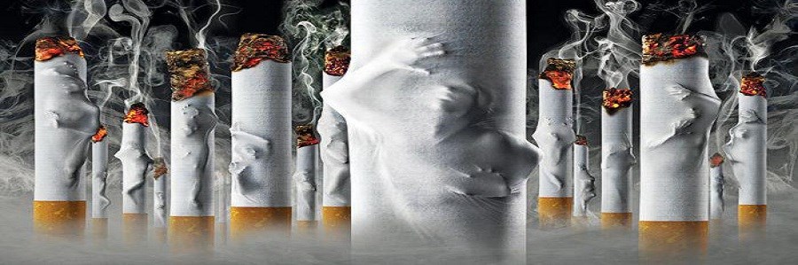 سیگار کشیدن موجب کاهش درک مزه چربی و شکر می شود