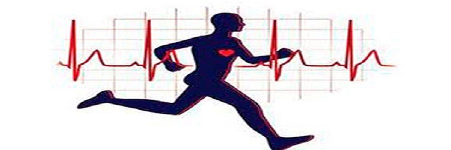 فعالیت ورزشی، لیپوپروتئین ها و فشار خون