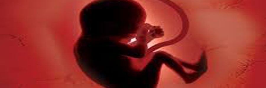 بیماری صبحگاهی خطر سقط جنین را کاهش می دهد.