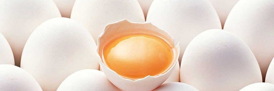 تخم مرغ و پیشگیری از کوتاه قدی در کودکان