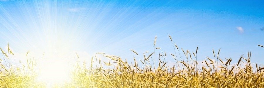 ویتامین D نور خورشید موثر برای بهبود سل