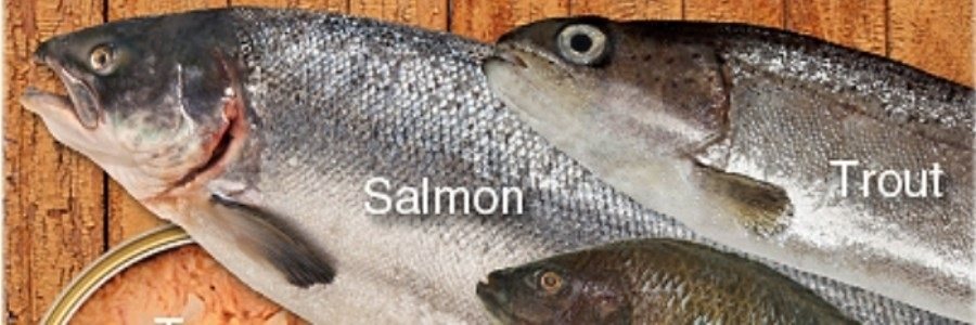 اسیدهای چرب ماهی و کاهش سرطان سینه