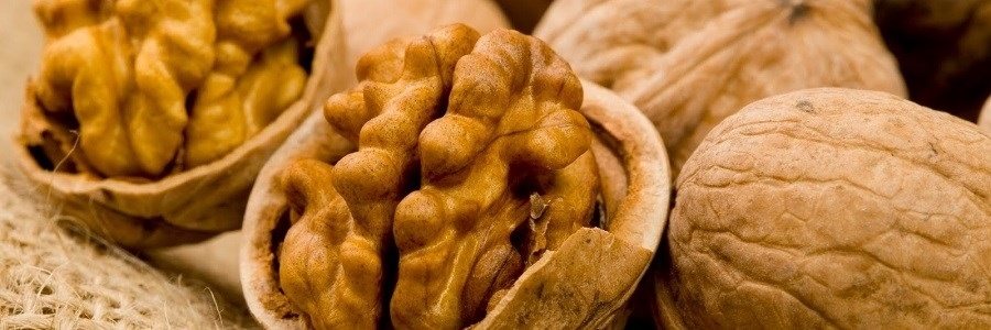 خوردن مغز دانه ها و کاهش خطر ابتلا به سرطان و بیماری قلبی و عروقی