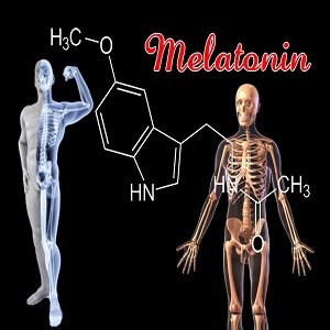 ملاتونین استخوان ها را قوی می کند