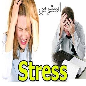 استرس موجب کاهش حافظه می شود