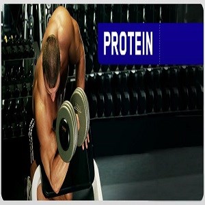 عضله سازی درفعالیت ورزشی مقاومتی: پروتئین سویا یا وِی؟
