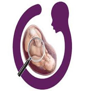 ریز مغذی های دوران جنینی باعث بهبود تکامل می شود.