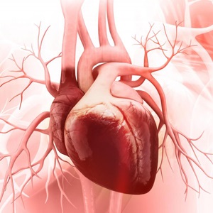 پرفشاری خون سبب آسیب قلب در نوجوانان می‌شود.