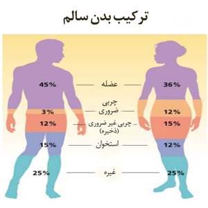 تاثیر محصولات لبنی بر ترکیب بدن