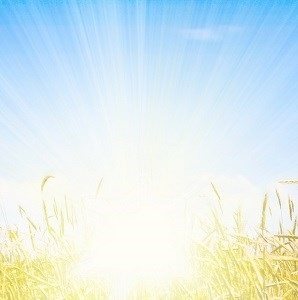 ویتامین D نور خورشید موثر برای بهبود سل
